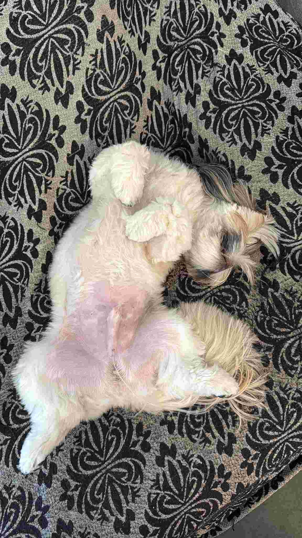 WhatsApp Image 2026-02-04 at 12.25.13.jpg