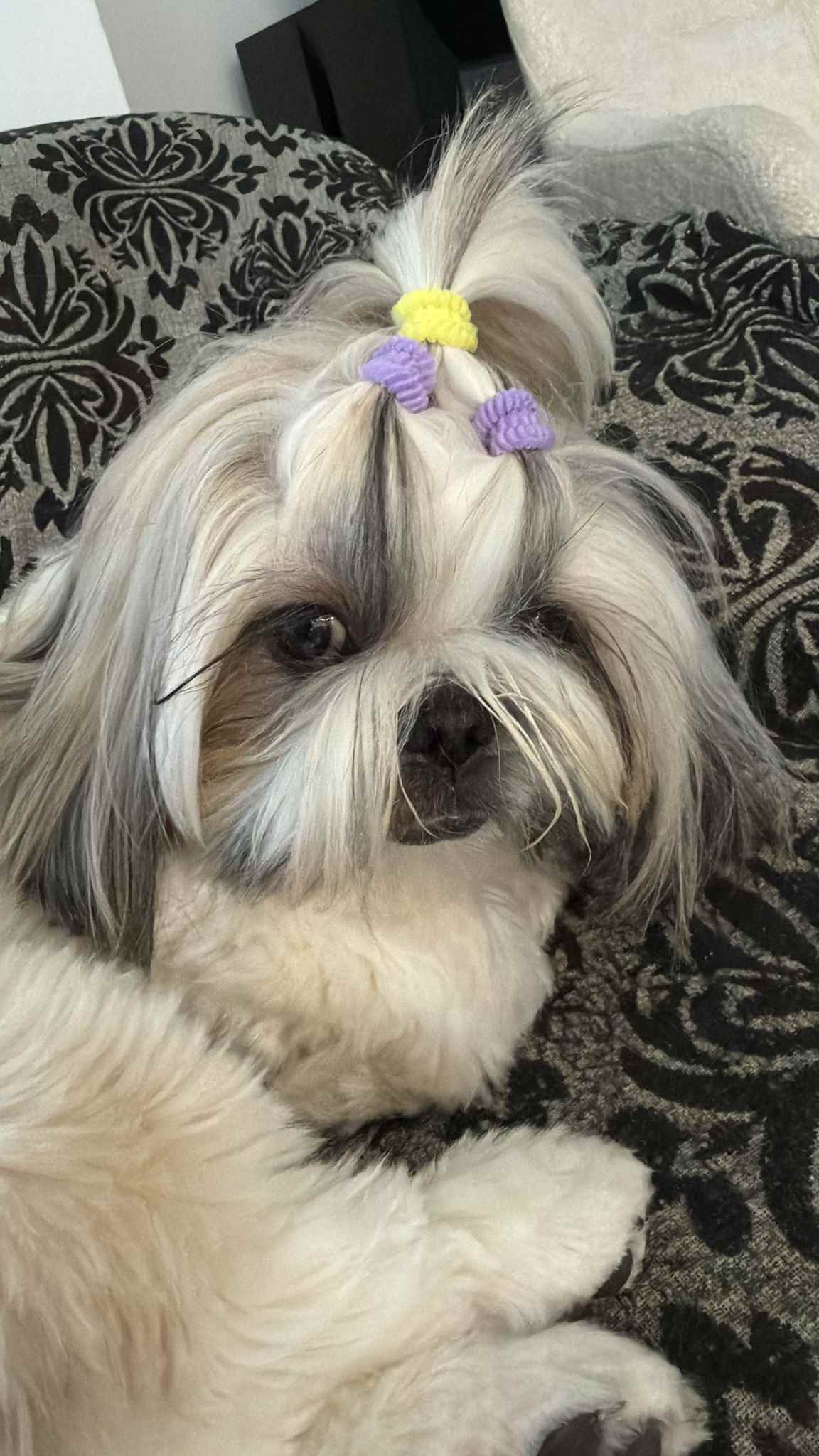 WhatsApp Image 2026-02-04 at 12.25.12.jpg