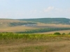 Panorama_fields