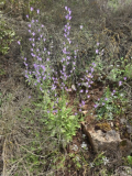 20260418_140854_copy_339x452