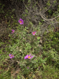 20260418_140958_copy_300x400