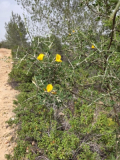 20260418_141550_copy_300x400
