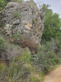 20260418_142129_copy_339x452