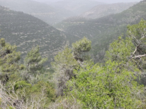 20260418_142226_copy_452x339