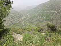 20260418_142450_copy_400x300