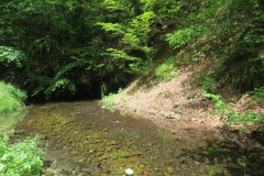 IMG_2216_copy_800x533