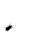 fly
