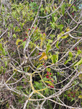20250125_142753_copy_750x1000