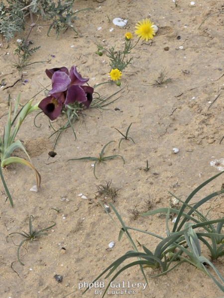 20260223_151611_copy_600x800