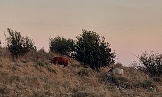 20220709_192825 (2).jpg