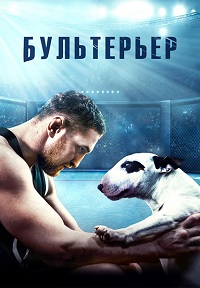 Бультерьер.jpg