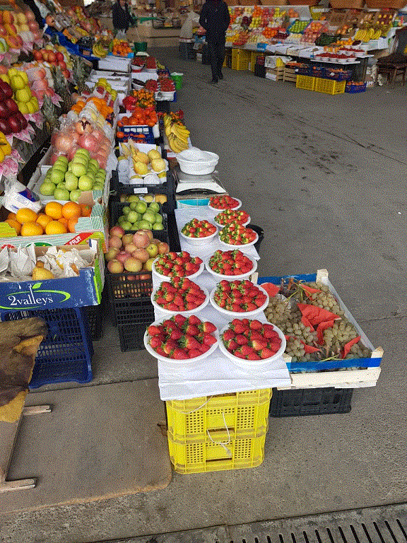 photo_2023-01-27_14-09-31.gif