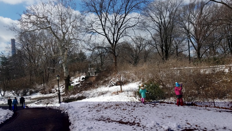 20190304_113942-1.jpg