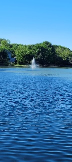 IMG-20250420-WA0017.jpg