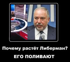 почему растет.jpg