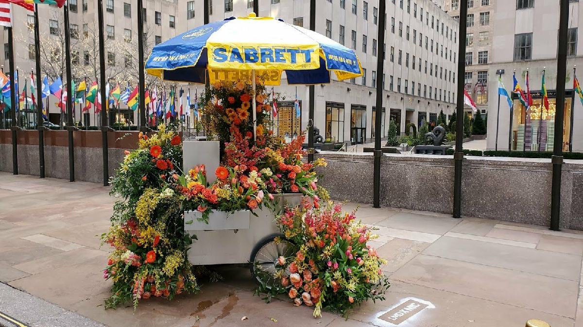 Hot-Dog-Flowers-1_resize_34.jpg