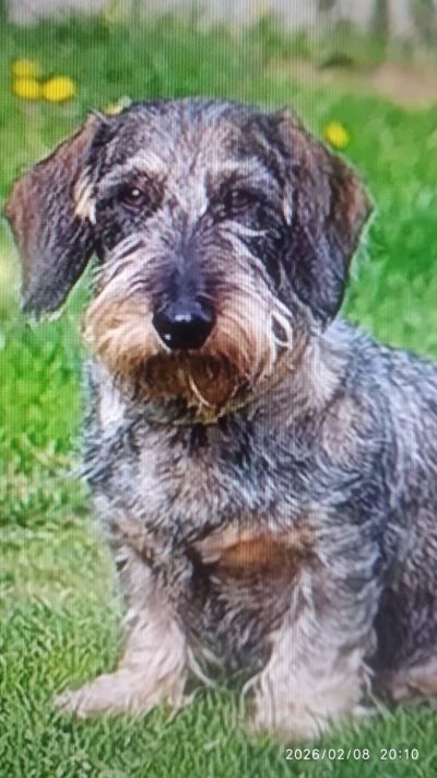 WhatsApp Image 2026-02-08 at 20.22.55.jpg