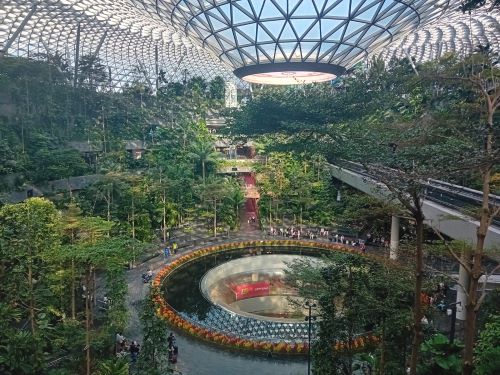 WhatsApp Image 2026-02-02 at 10.23.45.jpg