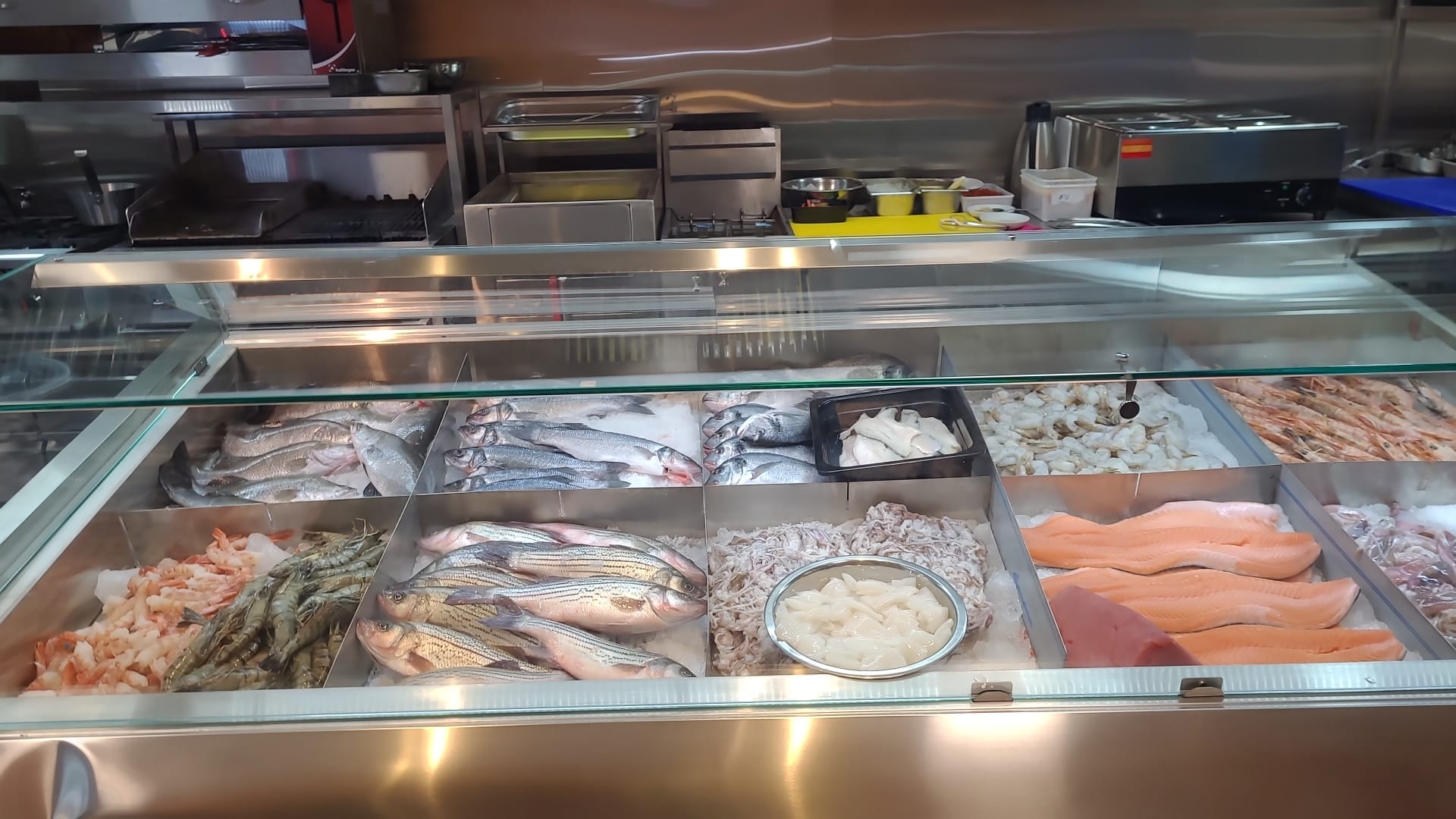 WhatsApp Image 2026-03-24 at 15.09.34.jpeg