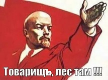 лес.jpg