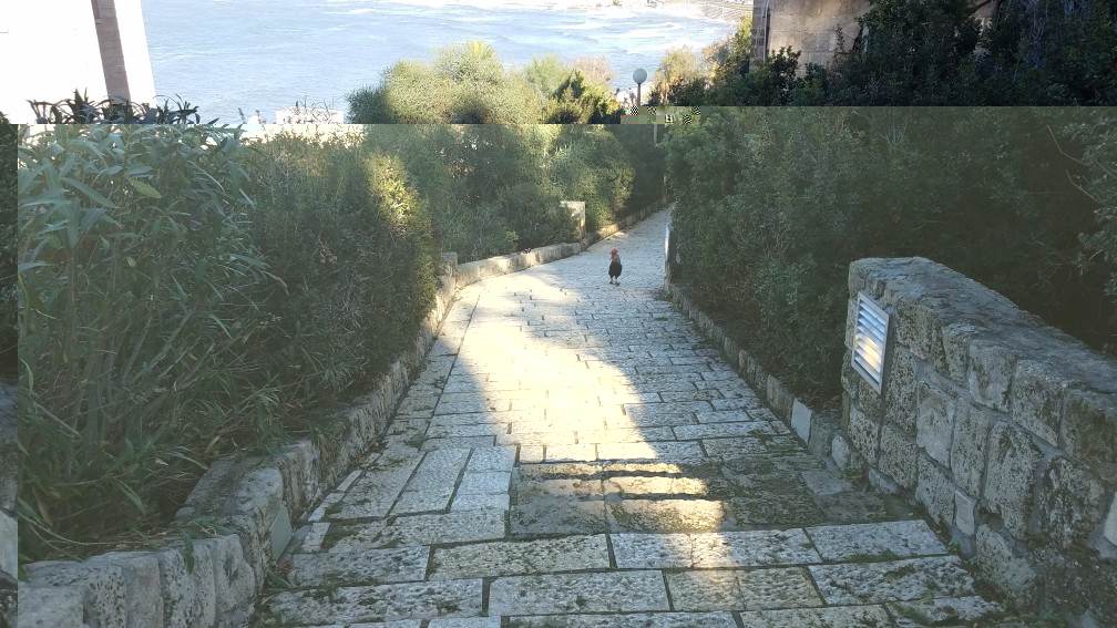 20191229_141549.jpg