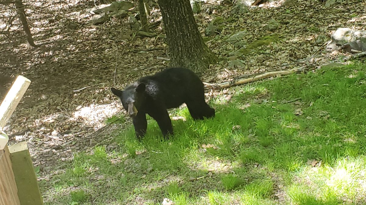 20200607_153108_resize_26.jpg