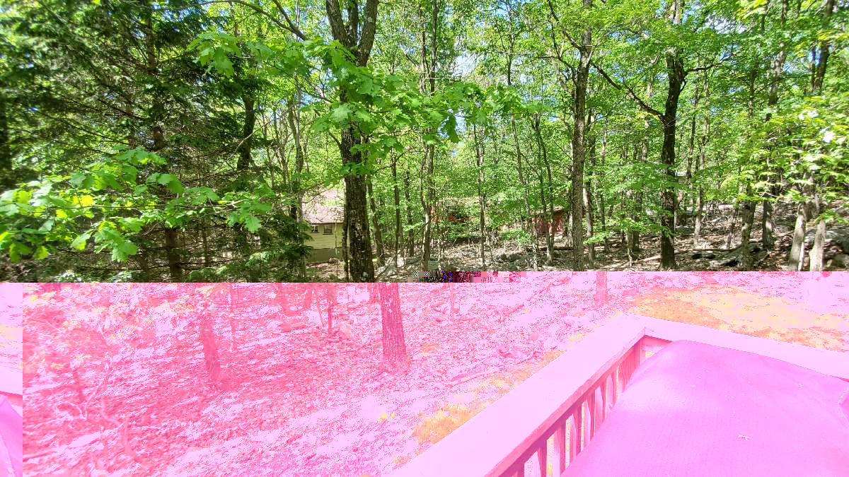 20200607_154304_resize_85.jpg
