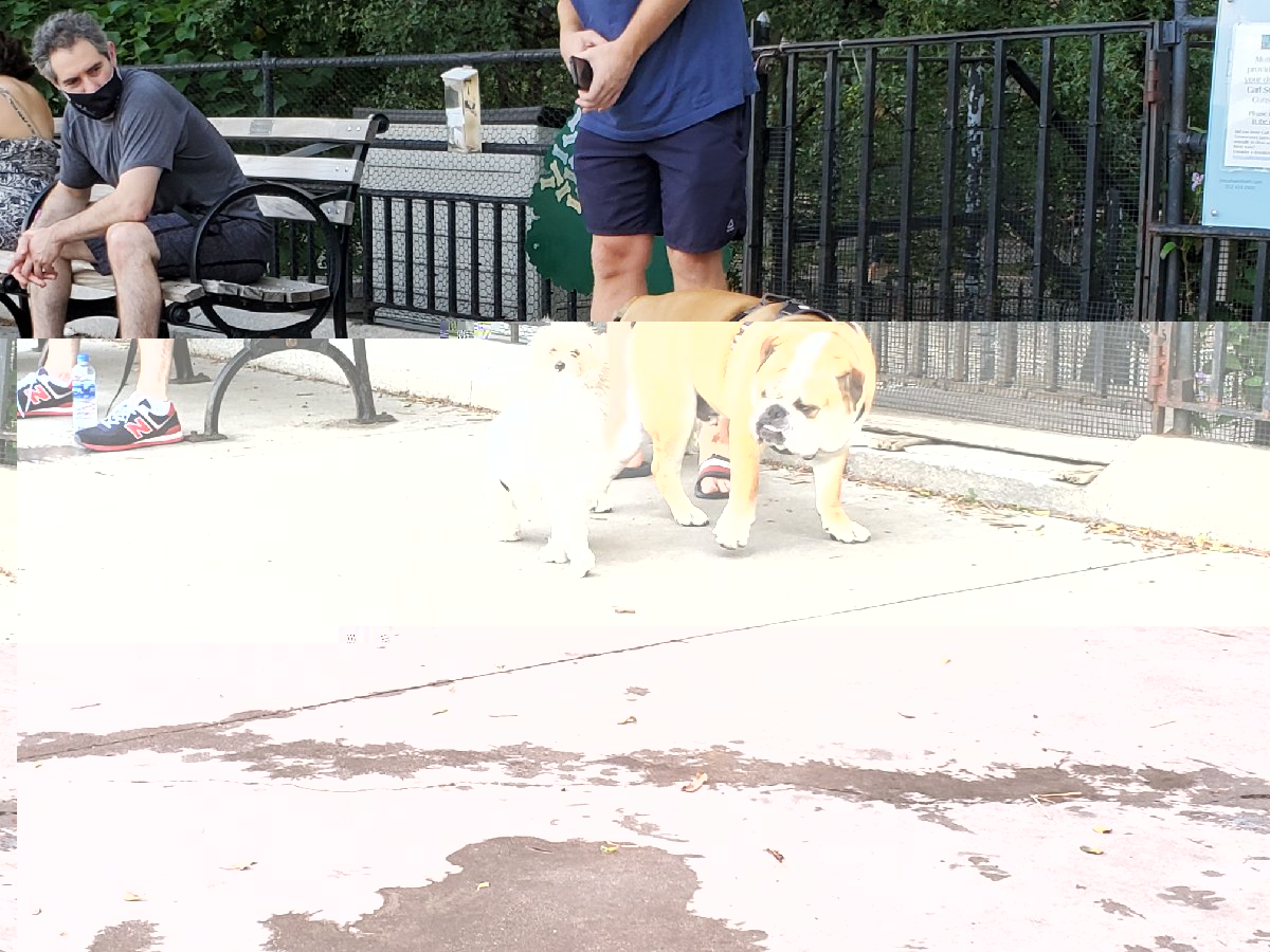 20200723_182443_resize_85.jpg