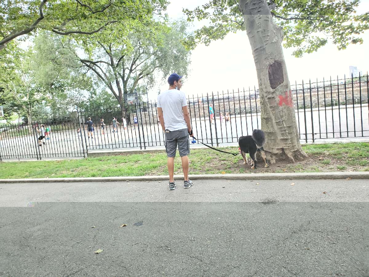 20200723_182234_resize_93.jpg
