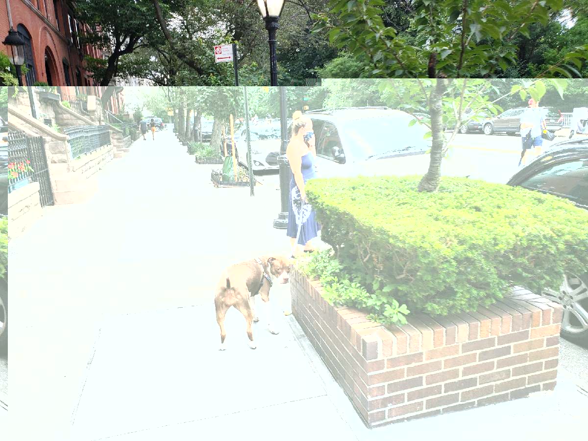 20200723_183523_resize_25.jpg